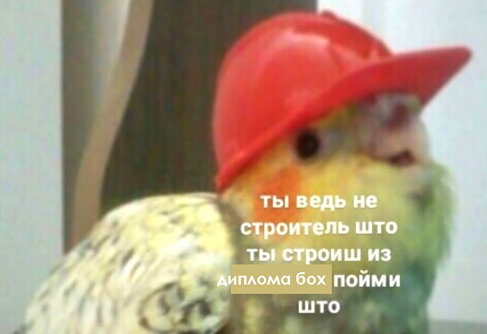 мем что ты из себя строишь