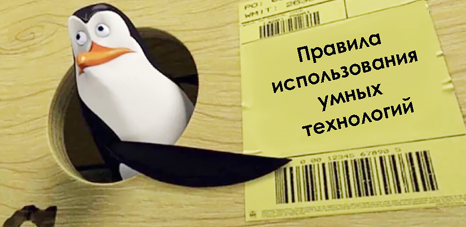 пингвин в коробке мем