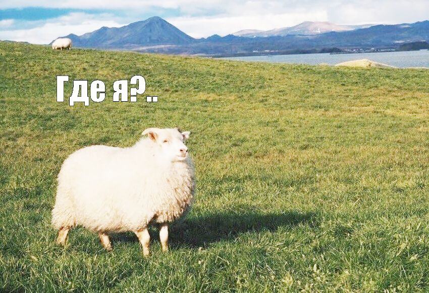 мем где я