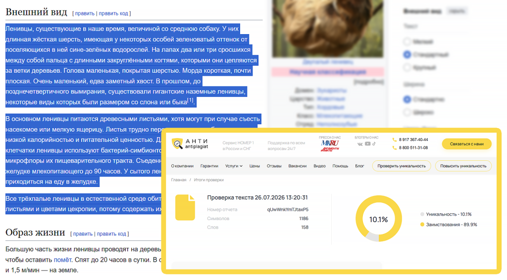 высокий процент плагиата